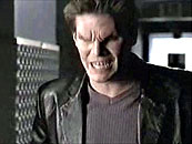 Allez ! Attaque Angel !