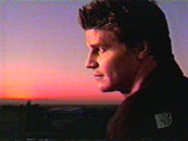 Angel regarde un couche de soleil